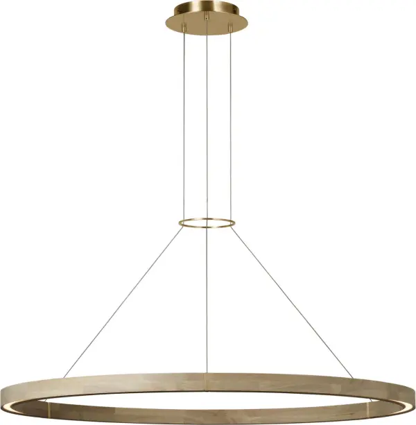 Ashok 49" Chandelier in Hand-Rubbed Antique Brass - Image 2