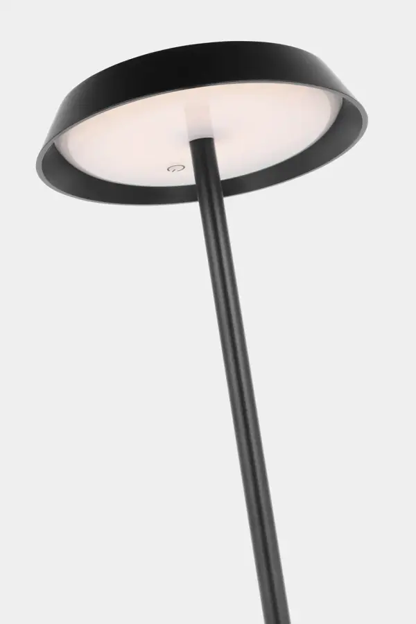 Tepa Medium Rechargeable Floor Lamp - Image 8