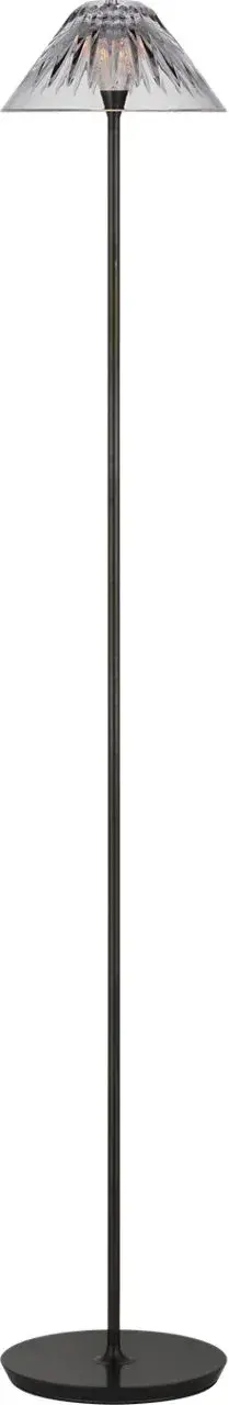 Blaze 55" Floor Lamp in Bronze with Clear Crystal - Image 1