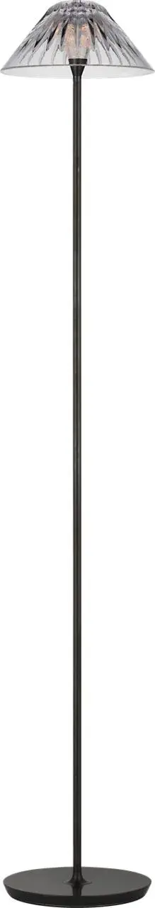 Blaze 55" Floor Lamp in Bronze with Clear Crystal - Image 2