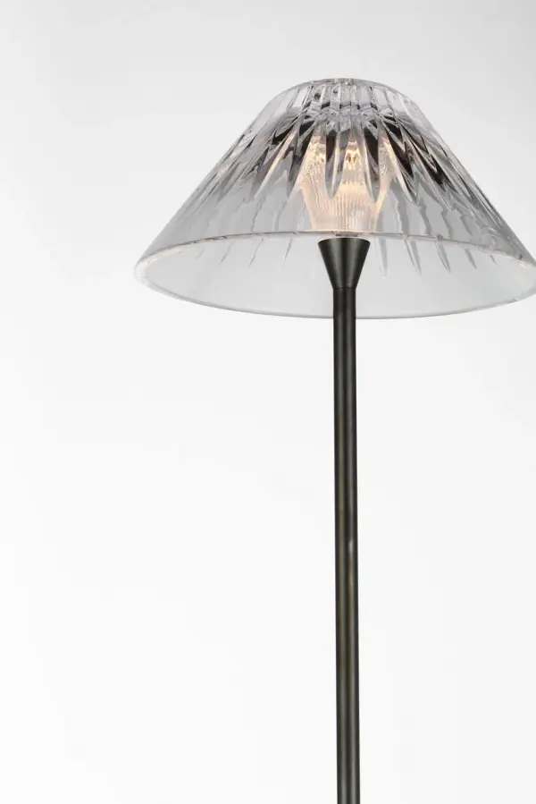 Blaze 55" Floor Lamp in Bronze with Clear Crystal - Image 3