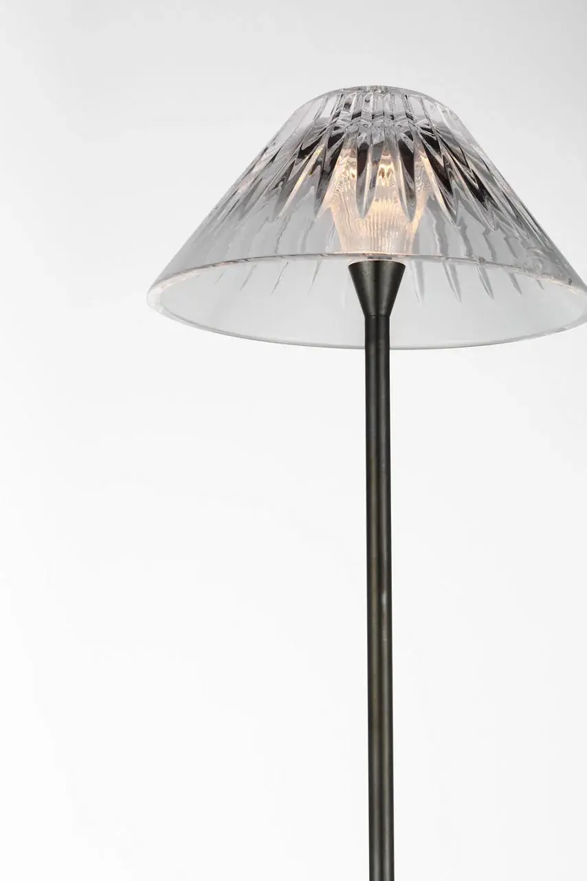 Blaze 55" Floor Lamp in Bronze with Clear Crystal - Image 3