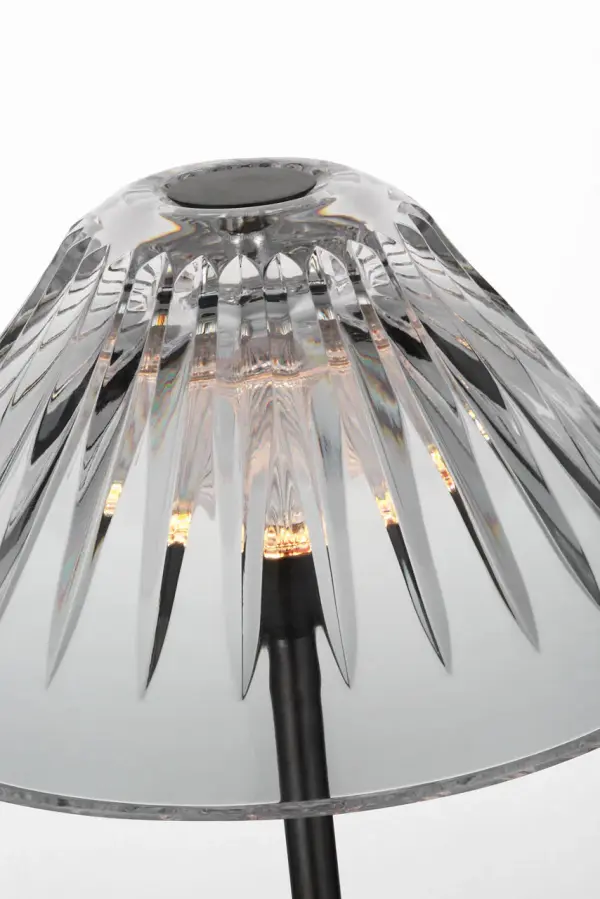 Blaze 55" Floor Lamp in Bronze with Clear Crystal - Image 4