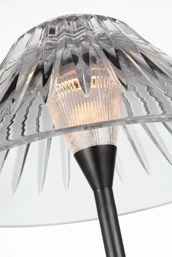 Blaze 55" Floor Lamp in Bronze with Clear Crystal - Image 6