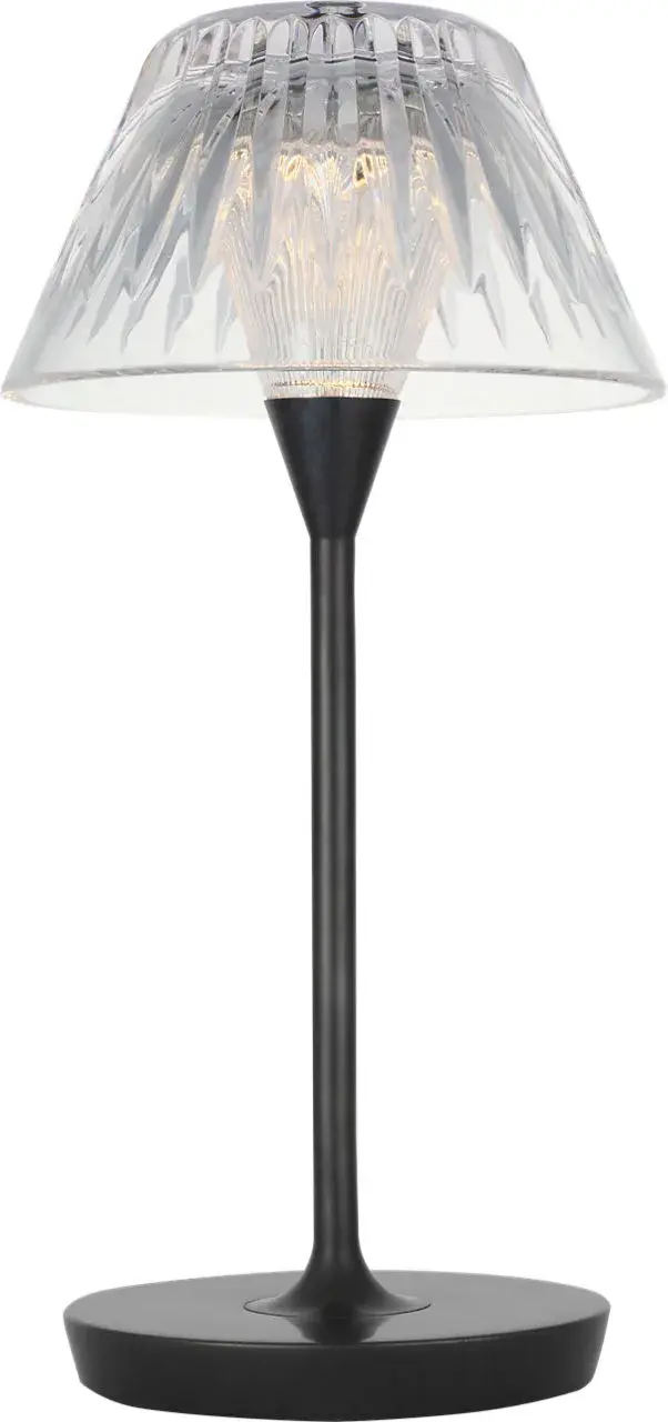 Blaze 12" Rechargeable Table Lamp in Bronze with Clear Crystal - Image 2