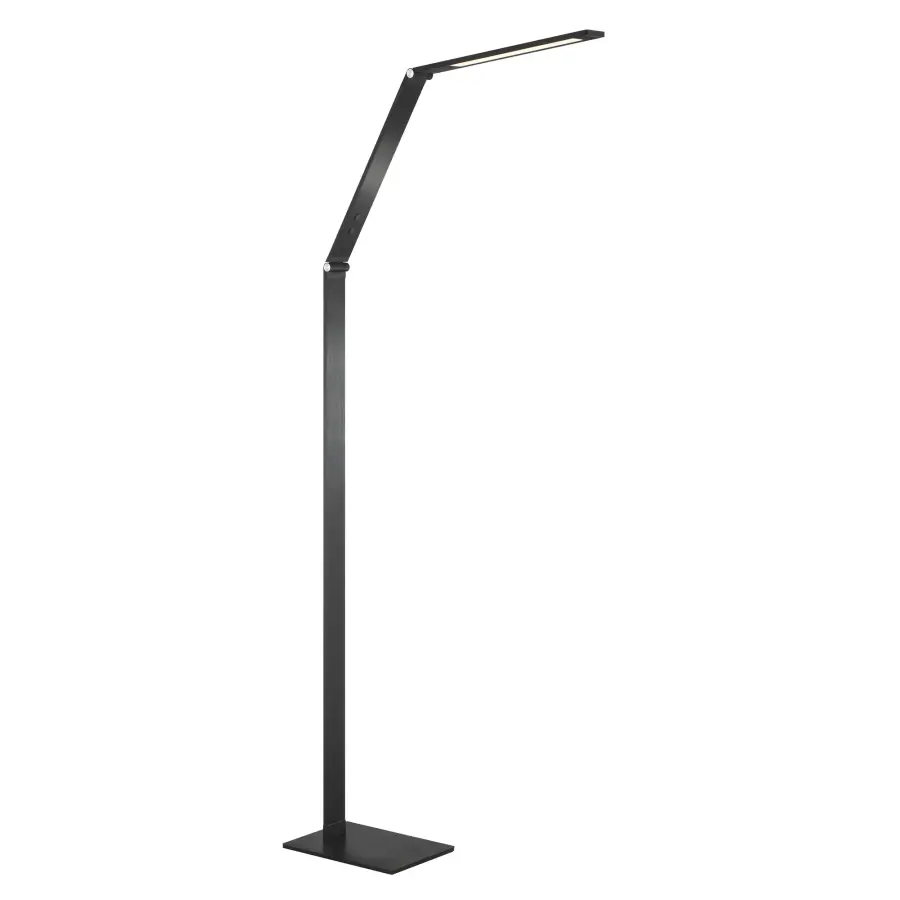 Adjustable LED Floor Lamp with Color Changing Technology - Image 1