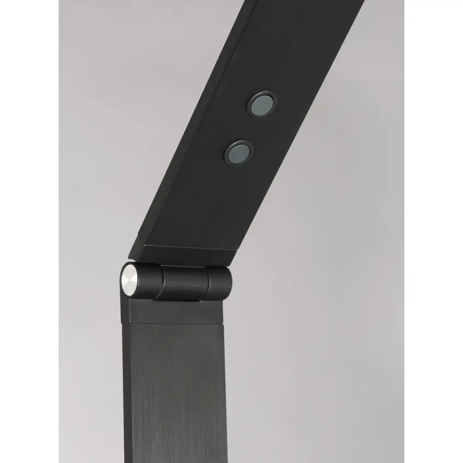 Adjustable LED Floor Lamp with Color Changing Technology - Image 3