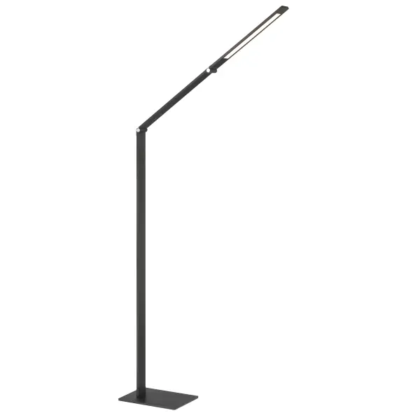 Adjustable LED Floor Lamp with Color Changing Technology - Image 6