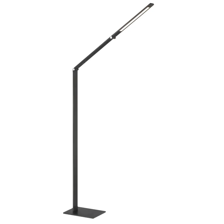 Adjustable LED Floor Lamp with Color Changing Technology - Image 6