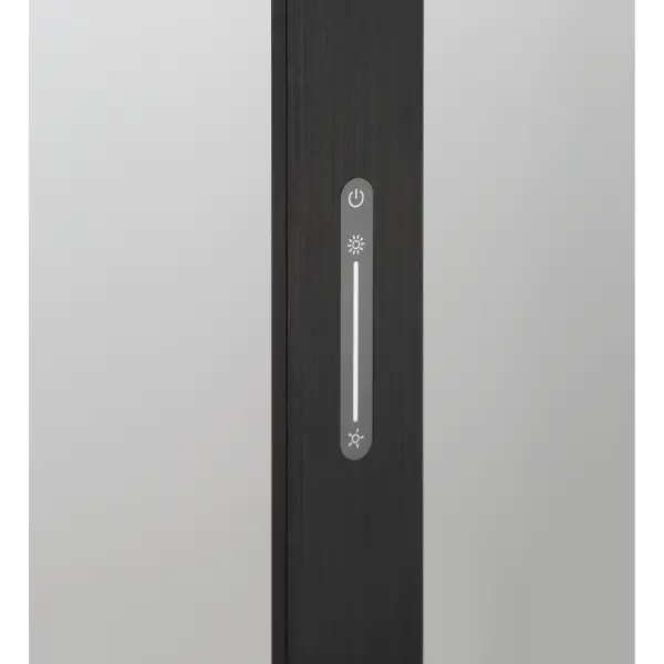 This contemporary floor lamp combines minimalist design with practical functionality. The anodized brushed coal black finish adds sophistication while the integrated LED and adjustable dimmer provide customizable lighting for reading, working, or ambient illumination. - alternate view
