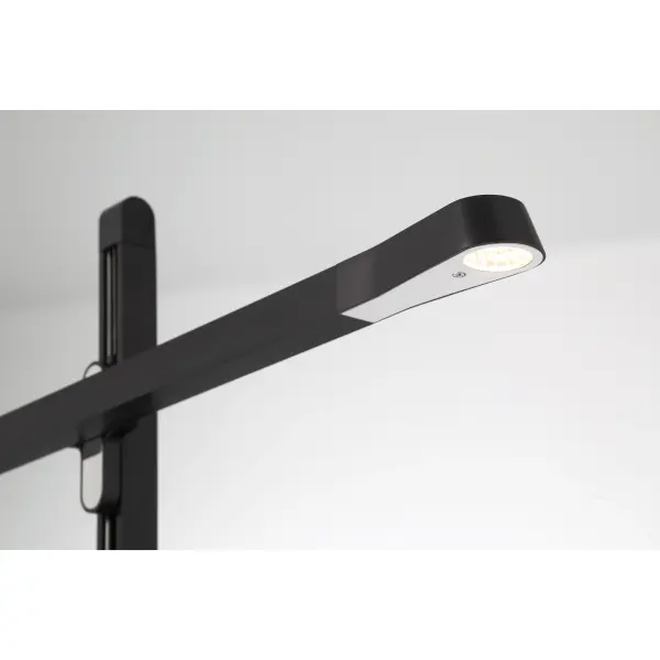 Adjustable LED Floor Lamp with Color Changing Technology - Image 3