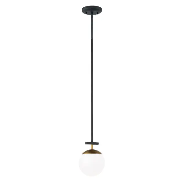 Compact Contemporary Pendant with Warm Metallic Accents