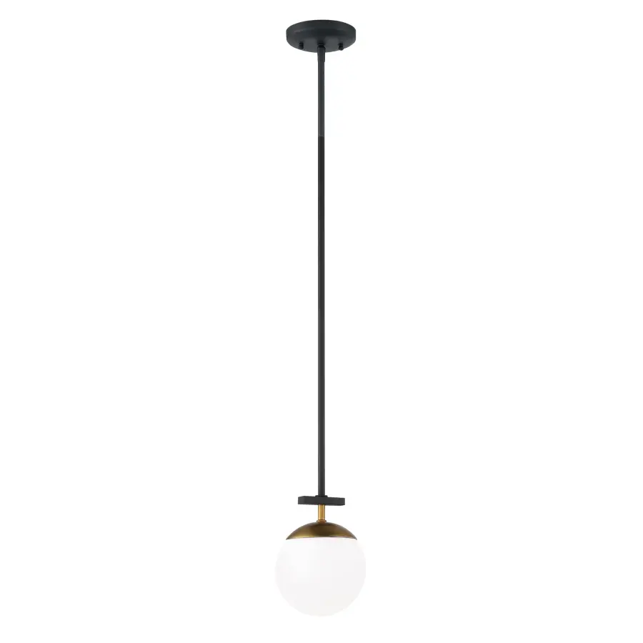 Compact Contemporary Pendant with Warm Metallic Accents