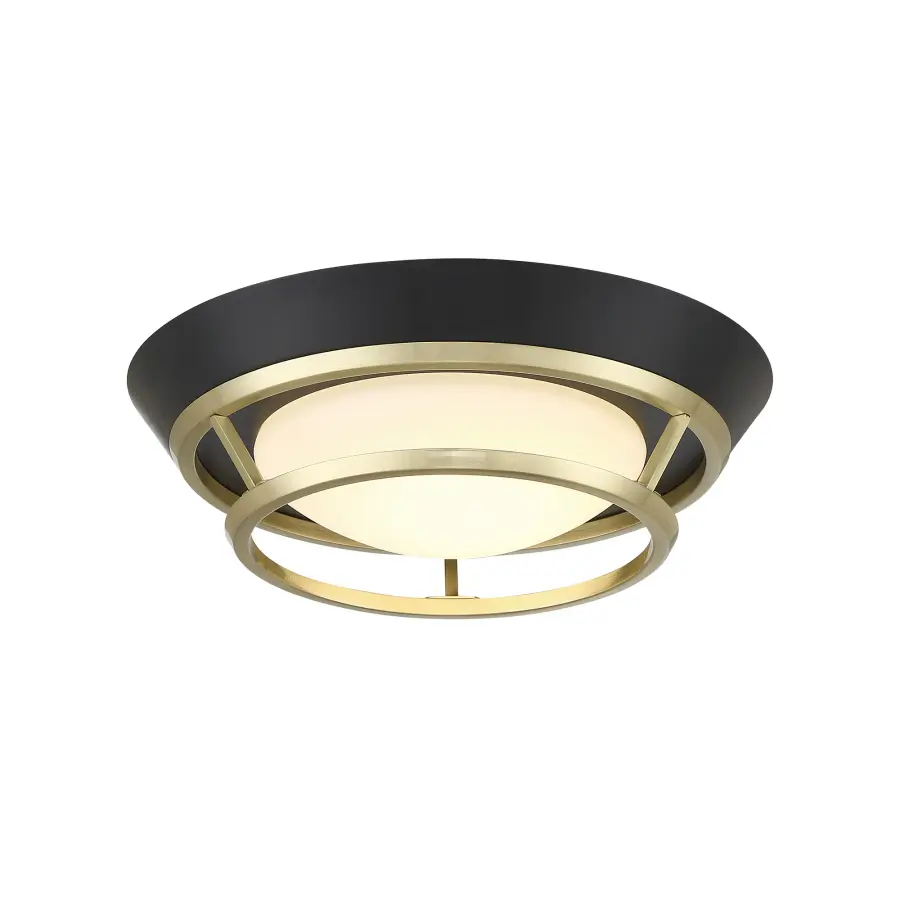 Beam Me Up! 11" LED Flush Mount in Coal and Satin Brass - Image 1