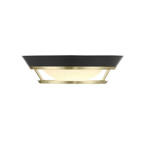 Beam Me Up! 11" LED Flush Mount in Coal and Satin Brass - Image 2