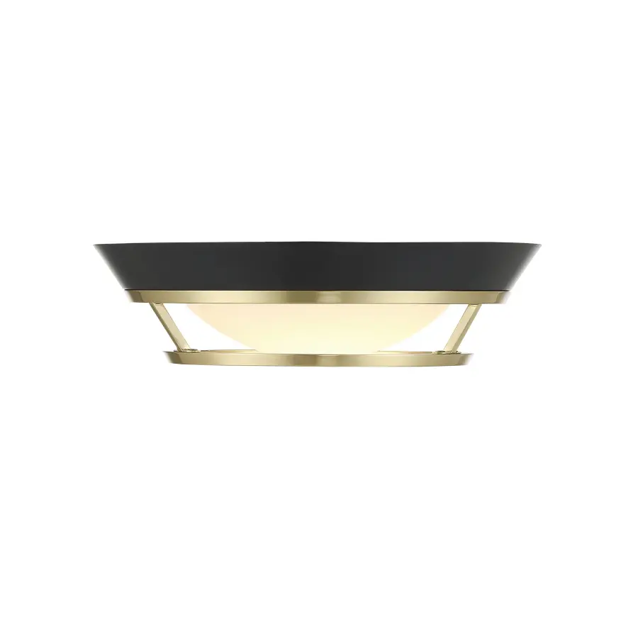 Beam Me Up! 11" LED Flush Mount in Coal and Satin Brass - Image 2