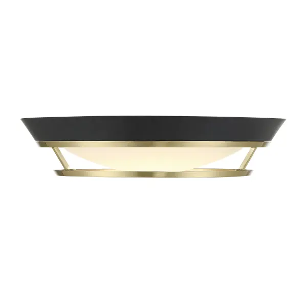 The Beam Me Up! flush mount combines industrial-modern aesthetics with exceptional LED performance. Its compact 14" profile and 3" height make it ideal for low ceilings, while the coal black and brass finish adds sophisticated contrast. - alternate view