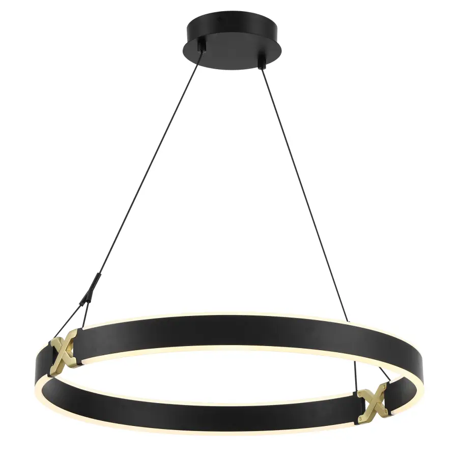 Recovery X 26" LED Pendant in Coal and Satin Brass - Image 1