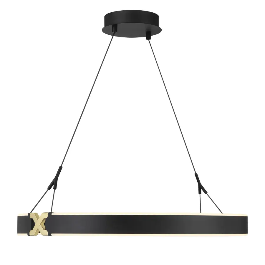 Recovery X 26" LED Pendant in Coal and Satin Brass - Image 2