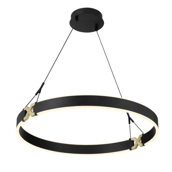 Recovery X 26" LED Pendant in Coal and Satin Brass - Image 6