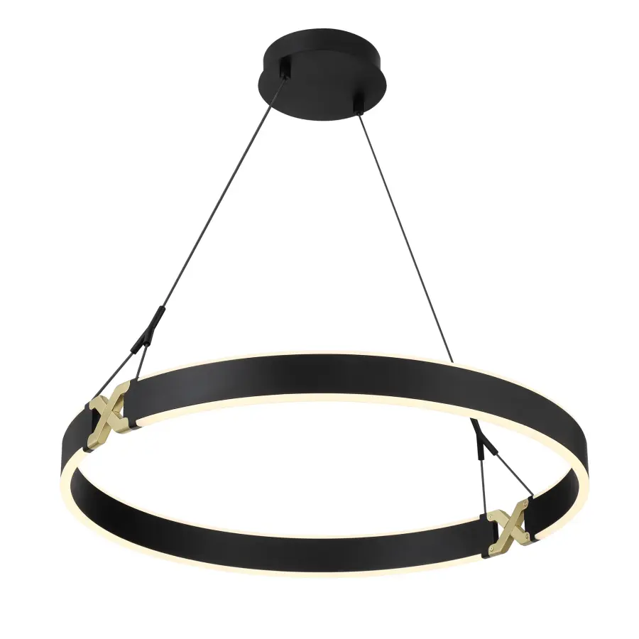 Recovery X 26" LED Pendant in Coal and Satin Brass - Image 6