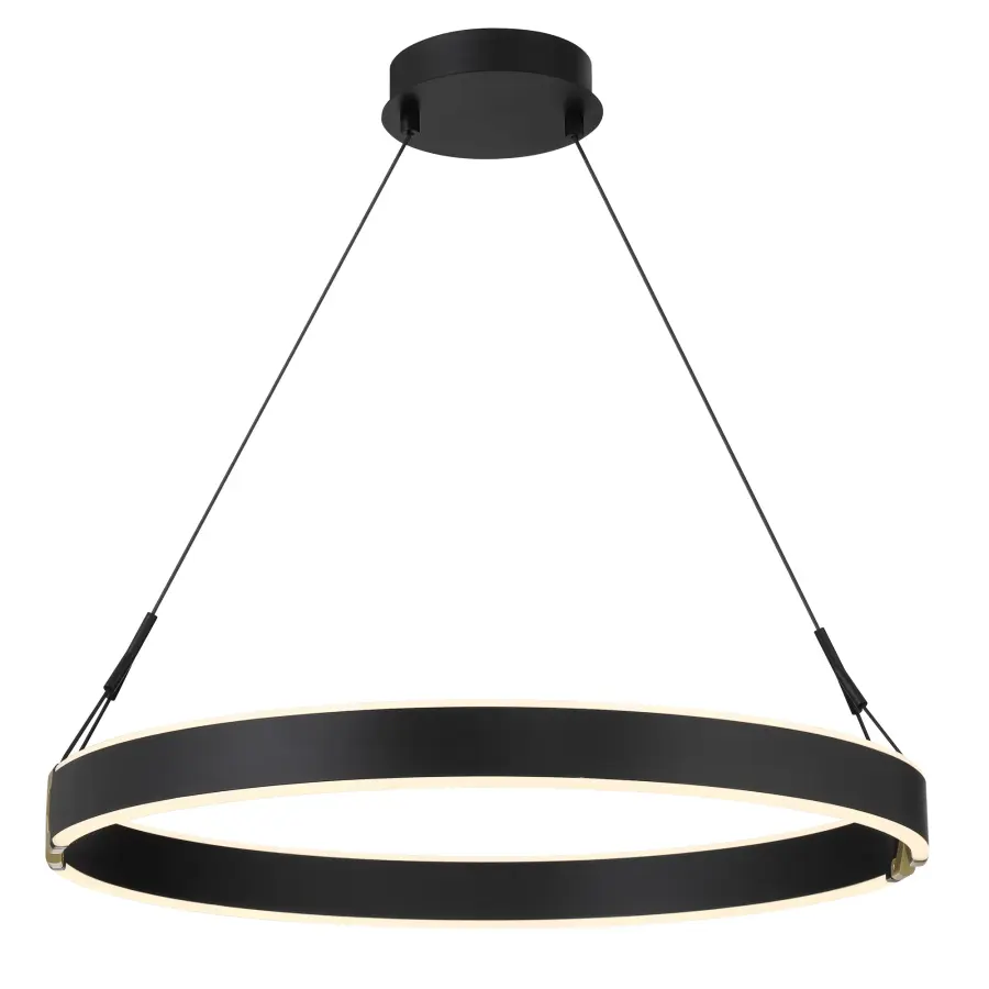 Recovery X 26" LED Pendant in Coal and Satin Brass - Image 7