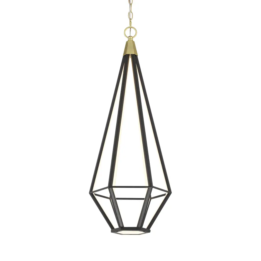 Sculptural LED Pendant with Artistic Brass & Coal Finish