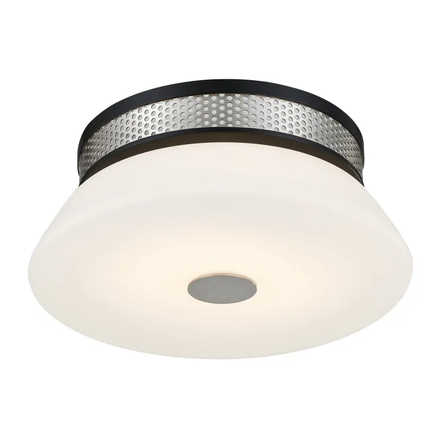 Tauten 12" LED Flush Mount in Brushed Nickel and Coal - Image 1