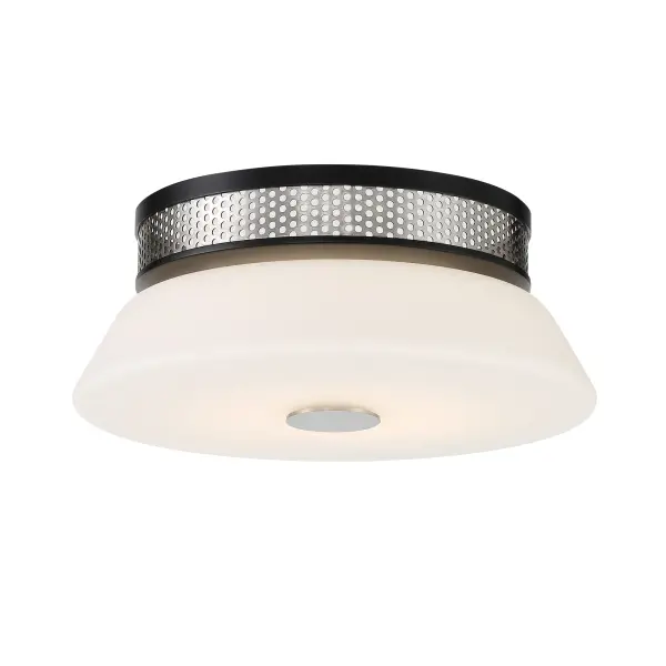 Tauten 12" LED Flush Mount in Brushed Nickel and Coal - Image 3