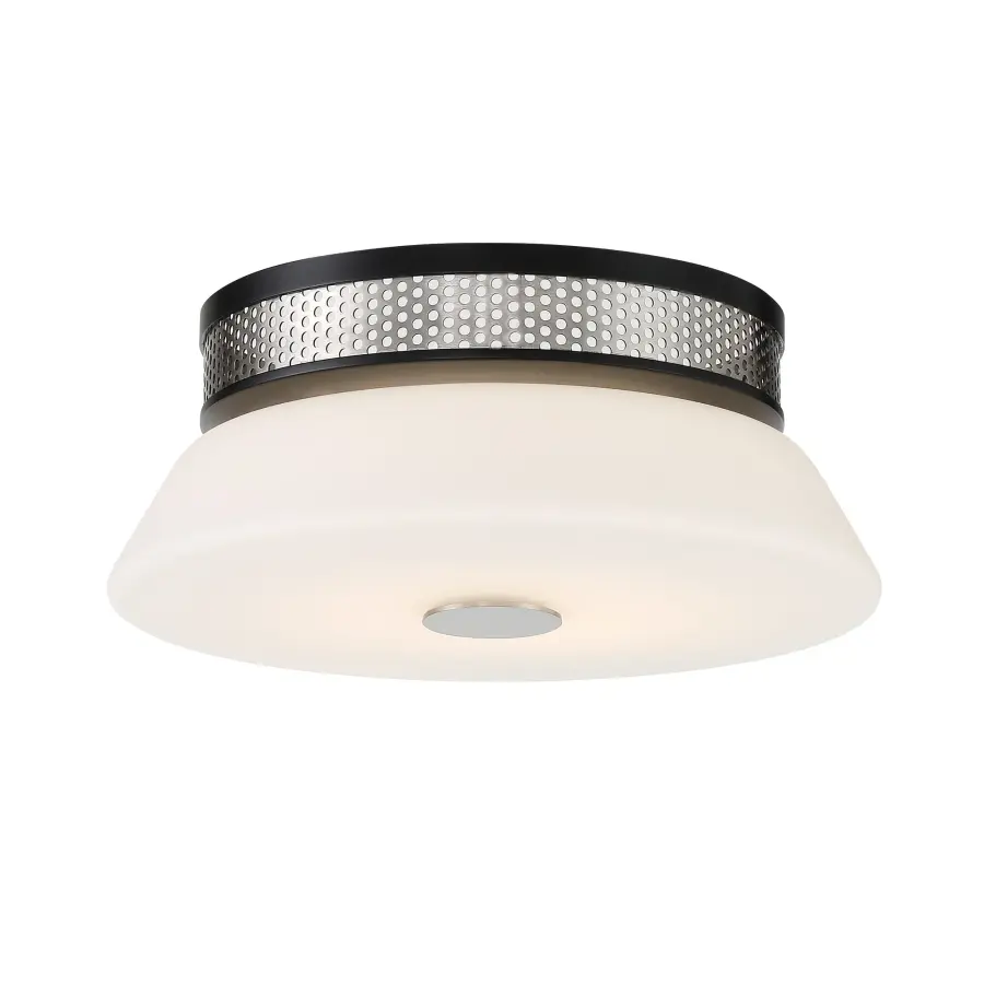 Tauten 12" LED Flush Mount in Brushed Nickel and Coal - Image 3