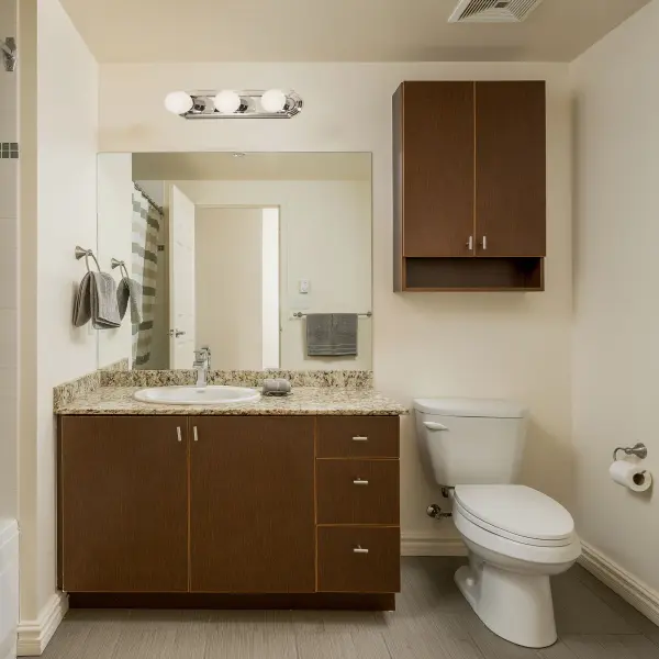 This 18-inch vanity light combines traditional elegance with practical illumination. The racetrack-style design features three 100-watt bulbs that provide ample lighting for grooming tasks while adding a refined touch to any bathroom. - alternate view