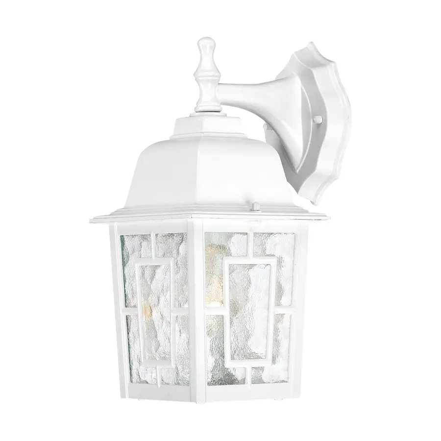 Banyan Outdoor Wall Sconce with Clear Water Glass - Image 1