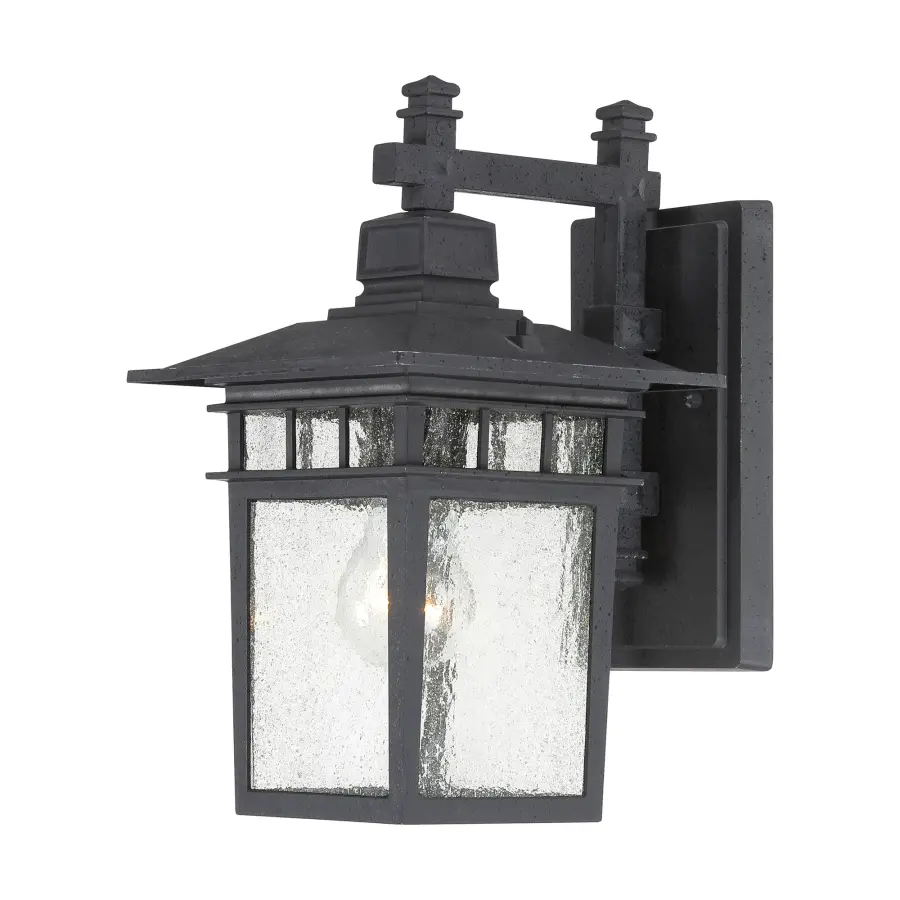 Cove Neck 12" Outdoor Wall Lantern with Clear Seeded Glass - Image 1