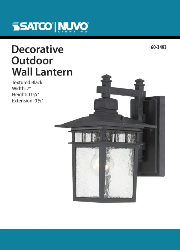 The Cove Neck outdoor wall lantern combines traditional design with durable construction. Its 12-inch profile and clear seeded glass create welcoming illumination for entryways and outdoor spaces. - alternate view