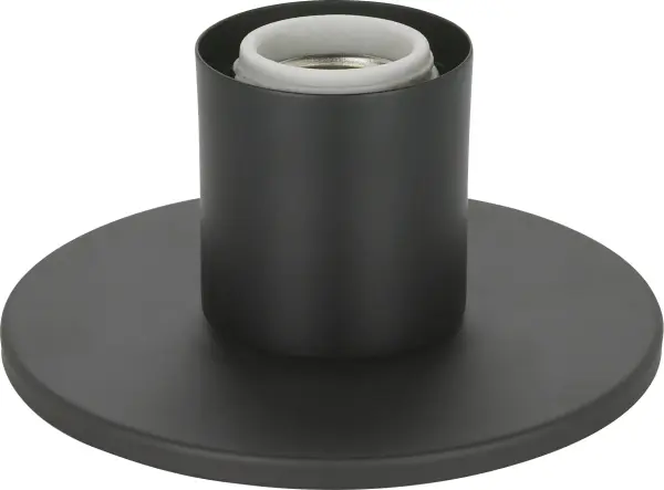 A sleek, budget-friendly surface mount fixture offering flexible installation options. The dark bronze finish and minimalist design work well in modern spaces, though the single 60W bulb limits brightness for larger areas.