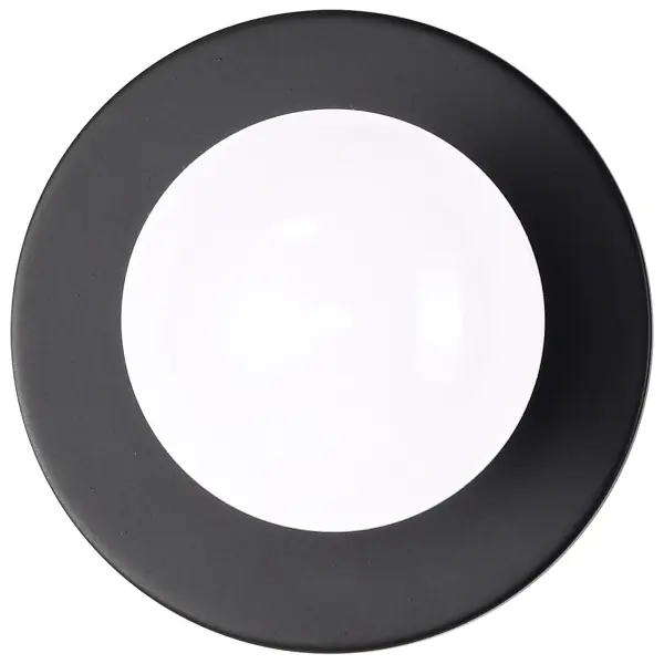 A sleek, budget-friendly surface mount fixture offering flexible installation options. The dark bronze finish and minimalist design work well in modern spaces, though the single 60W bulb limits brightness for larger areas. - alternate view