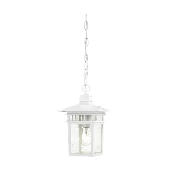 The Cove Neck outdoor pendant blends Eastern influences with American coastal charm in a compact 12-inch design. Its white finish and clear seeded glass create welcoming illumination for entryways and covered outdoor spaces.
