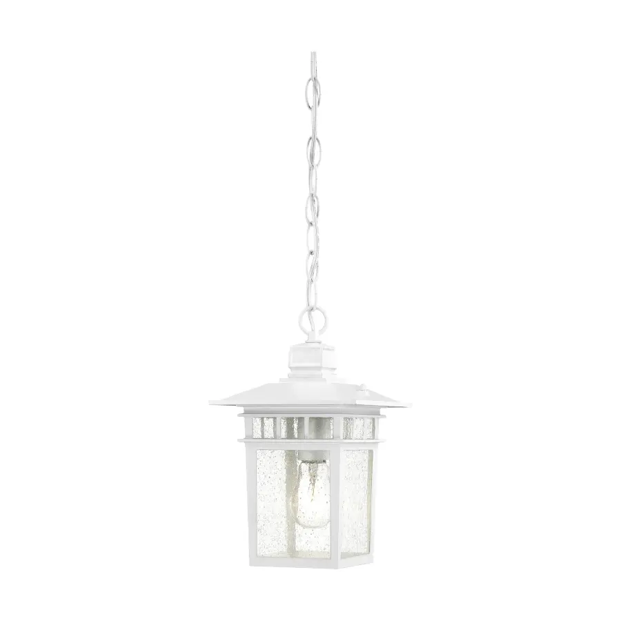 Cove Neck 1-Light 12" Outdoor Hanging Lantern with Clear Seeded Glass - Image 1