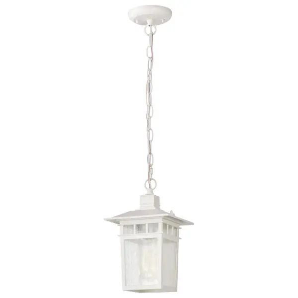 Cove Neck 1-Light 12" Outdoor Hanging Lantern with Clear Seeded Glass - Image 3