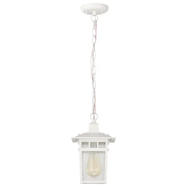 Cove Neck 1-Light 12" Outdoor Hanging Lantern with Clear Seeded Glass - Image 4