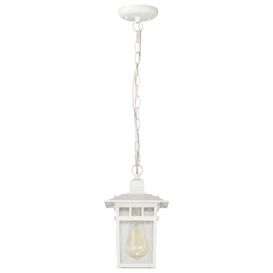 Cove Neck 1-Light 12" Outdoor Hanging Lantern with Clear Seeded Glass - Image 4