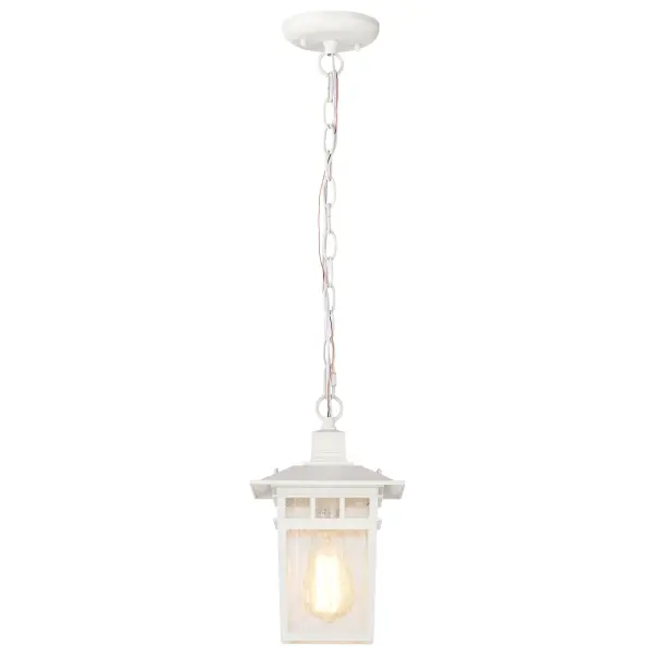 Cove Neck 1-Light 12" Outdoor Hanging Lantern with Clear Seeded Glass - Image 5