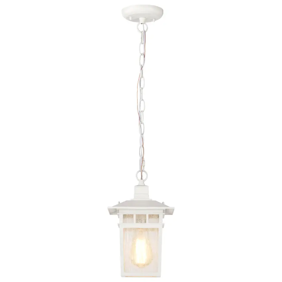 Cove Neck 1-Light 12" Outdoor Hanging Lantern with Clear Seeded Glass - Image 5