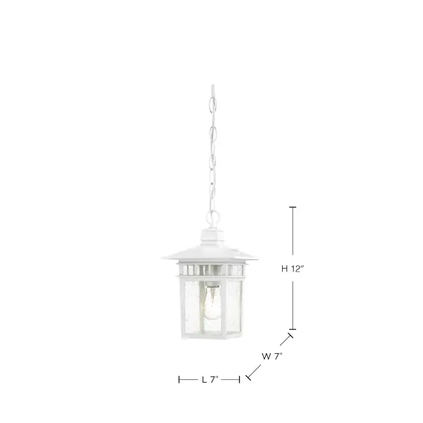 Cove Neck 1-Light 12" Outdoor Hanging Lantern with Clear Seeded Glass - Image 8