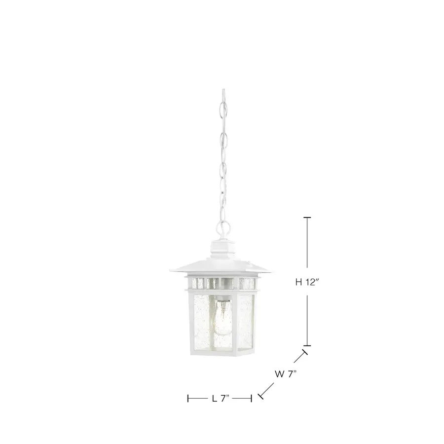 Cove Neck 1-Light 12" Outdoor Hanging Lantern with Clear Seeded Glass - Image 8