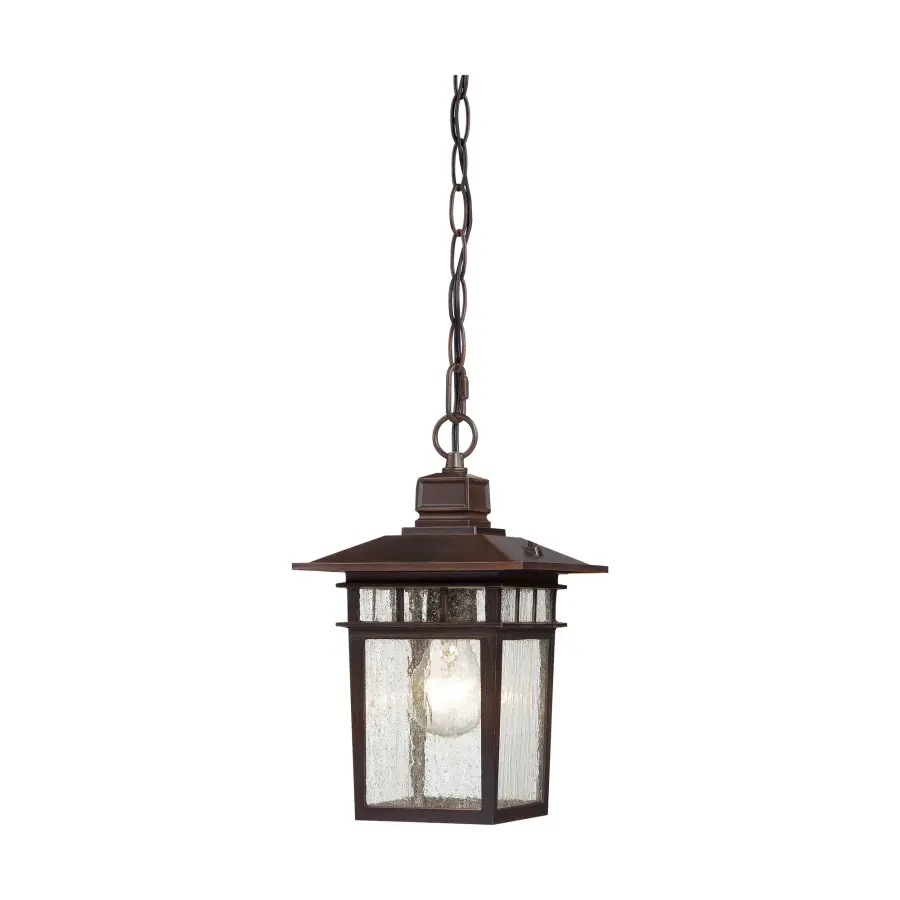 Cove Neck 1-Light 12" Outdoor Hanging Lantern with Clear Seeded Glass - Image 1