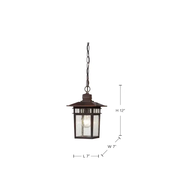 Cove Neck 1-Light 12" Outdoor Hanging Lantern with Clear Seeded Glass - Image 9