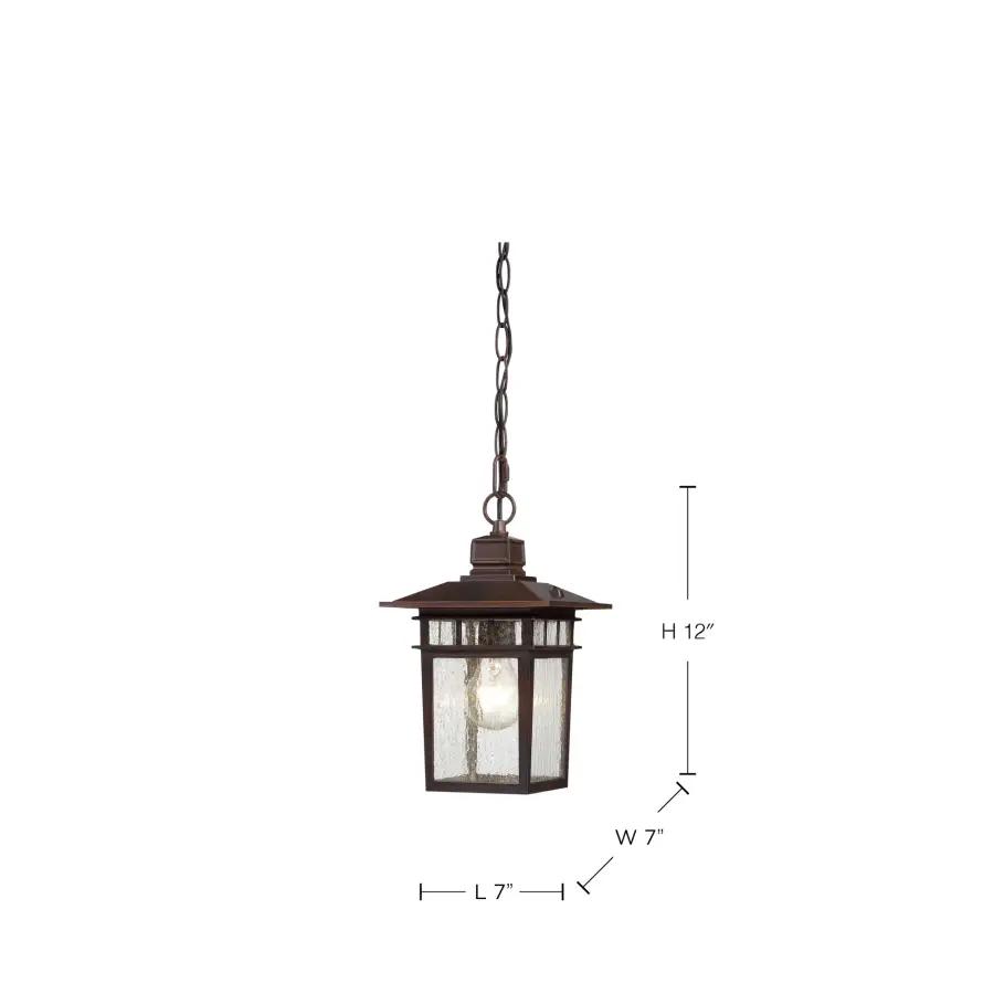 Cove Neck 1-Light 12" Outdoor Hanging Lantern with Clear Seeded Glass - Image 9