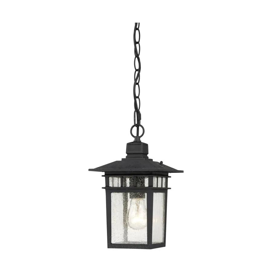 Cove Neck 1-Light Outdoor Hanging Lantern with Clear Seeded Glass - Image 1