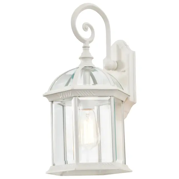 Boxwood 19" Outdoor Wall Sconce with Clear Beveled Glass - Image 5